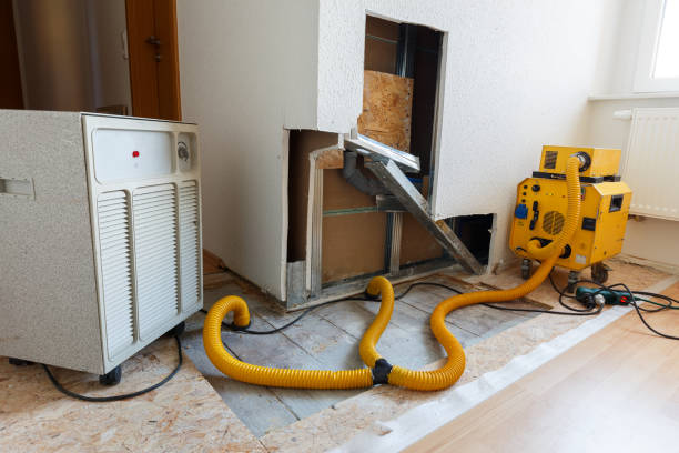 Roseburg North, OR Mold Removal Company